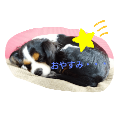 ken_20210404204259