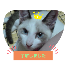 mitiko_20210404221803
