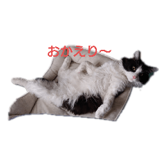 cherry_20210405103700