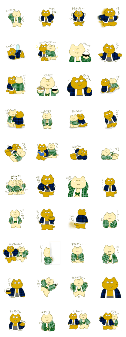 Married couple of a padded kimono cat