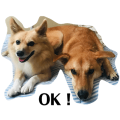 Mizuki_20210404192259