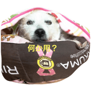 uchinohazu