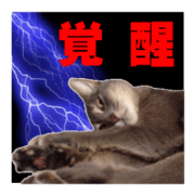 Daily Sticker of healed pets4