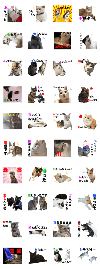 Daily Sticker of healed pets4
