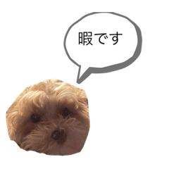 YUTO_20210405131054
