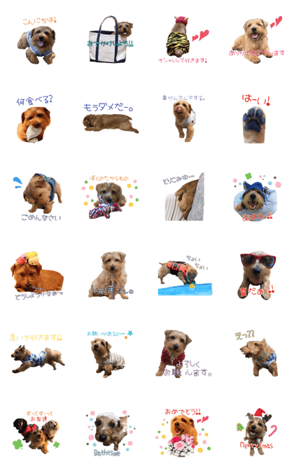 NorfolkTerrierSticker