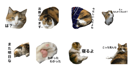 mikoke
