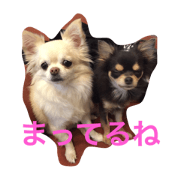 Kurumi&Azuki