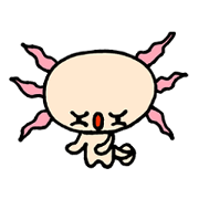 Mr.UPA RUPA 2nd