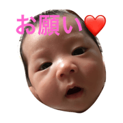 sugayake3
