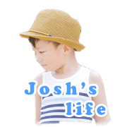 Josh's life