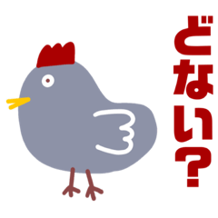 【BIG字】コテコテ関西弁の鶏コケコ★その1
