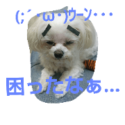 sasakihime