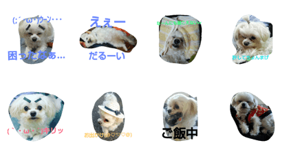 sasakihime