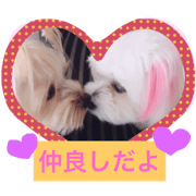 BEST FRIEND V&P