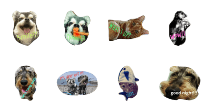 Smiledogs