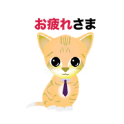 Senior Puss