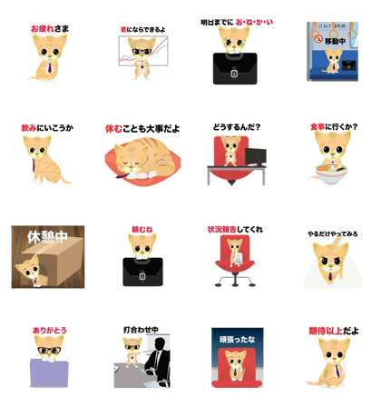 Senior Puss