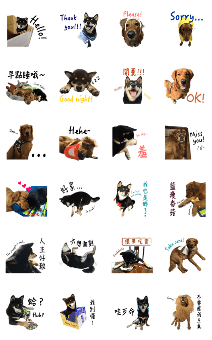 Doggie Alliance 5&7
