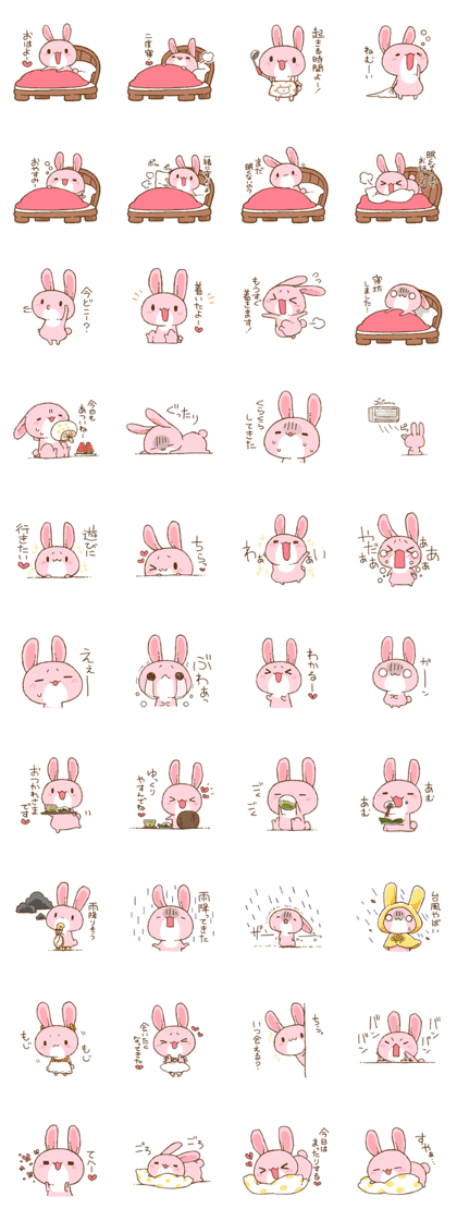 love rabbit very cute 4