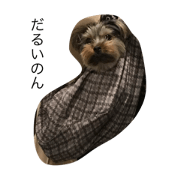 Romichichi