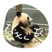 waku waku animals