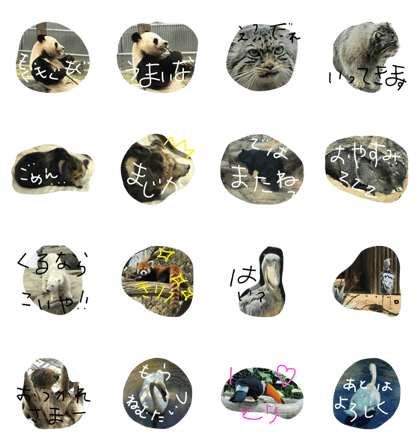 waku waku animals