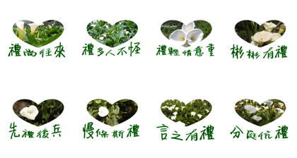 beautiful pictures:gift