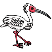 Birds Master