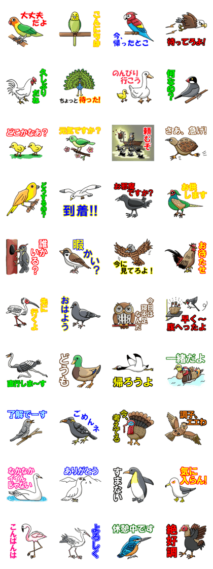 Birds Master