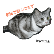The Three Cats.(Ryoumacat)