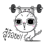 Casper The Cat