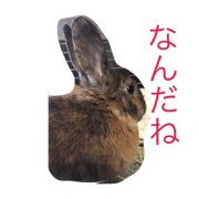 mugitya