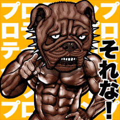 Muscle macho animal Big sticker