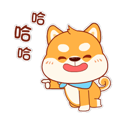胖嘟嘟的小柴犬