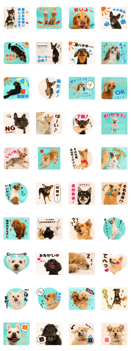 DEC / ODEKAKEN dog sticker 02 summer