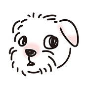 Eason DOG