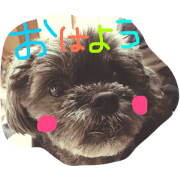 PHOO_chan