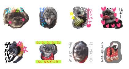 PHOO_chan