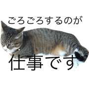 One leg cat. nekonyan.negi.nyantaro.