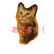 Charo of day-to-day ver.3