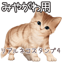 Miyagawa Real pretty cats 4