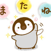 penguin chick Cute Adult