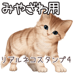 Miyazawa Real pretty cats 4