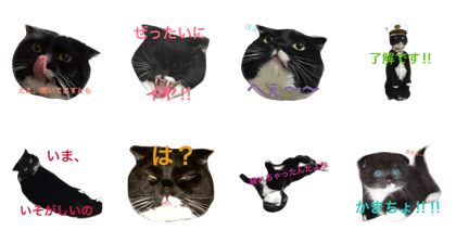 chibiru's stamp