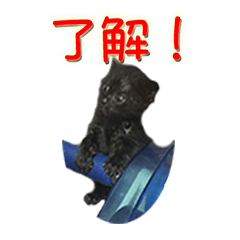 Cat&Dog Live action Sticker