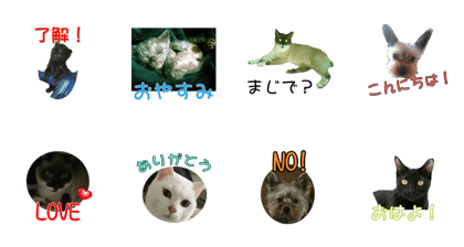 Cat&Dog Live action Sticker