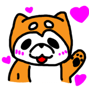 Noga the Shiba Inu~