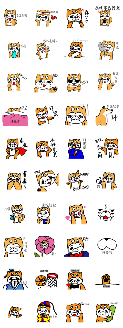 Noga the Shiba Inu~