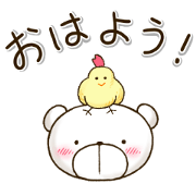 Shy bear/Basic
